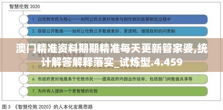 澳门管家婆精准解析与落实策略，探索精选之道的深度解析